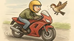 Dowcip: Motocyklista pędzi, wróbel leci prosto...