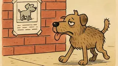 Dowcip: Zaginął pies… wabi się „Szczęściarz”